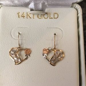 14K Gold earnings